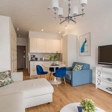 Sunset 25 Surfingbird *